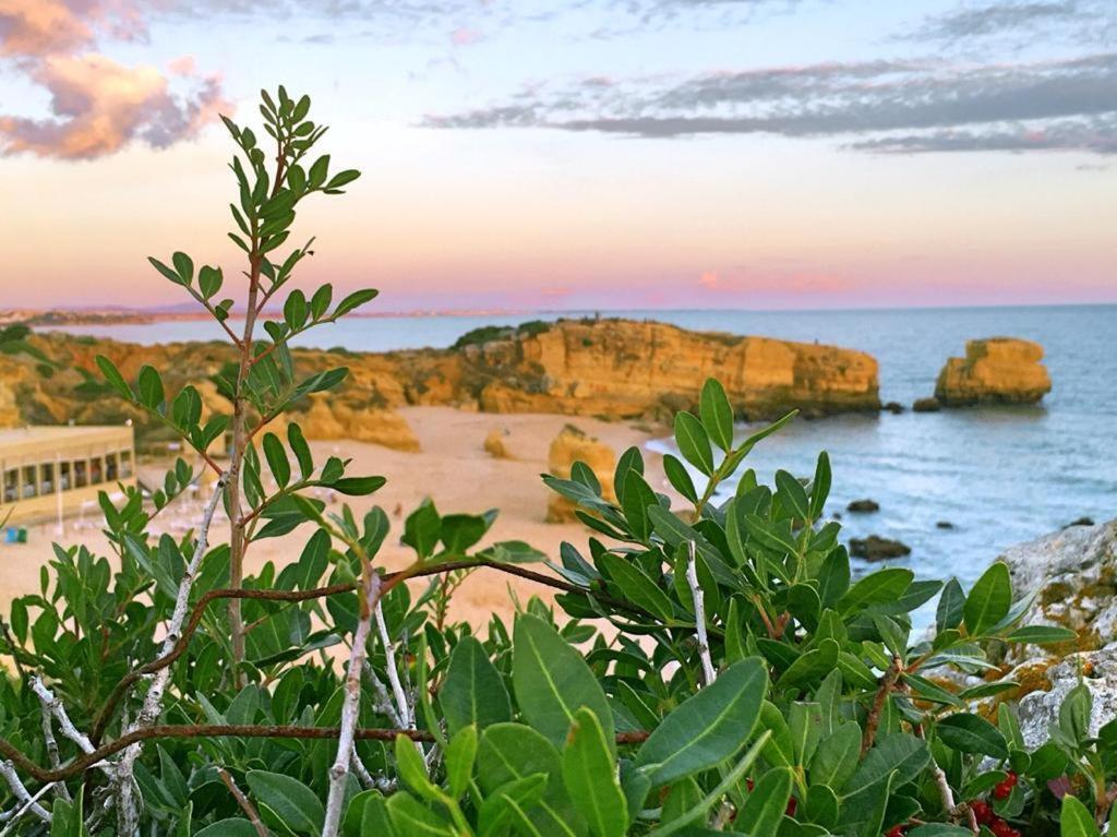 Casa Elisa Sao Rafael Leilighet Albufeira Eksteriør bilde